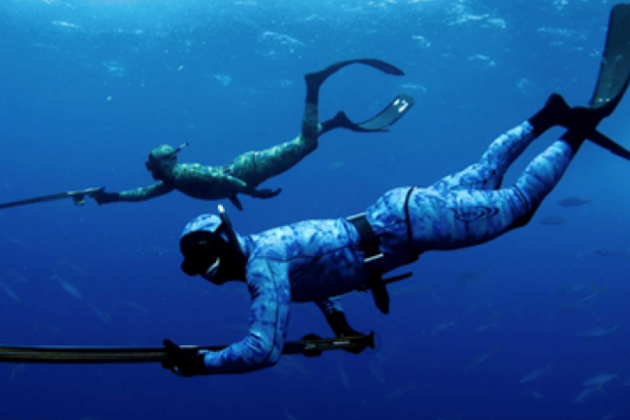 Факты о подводной охоте